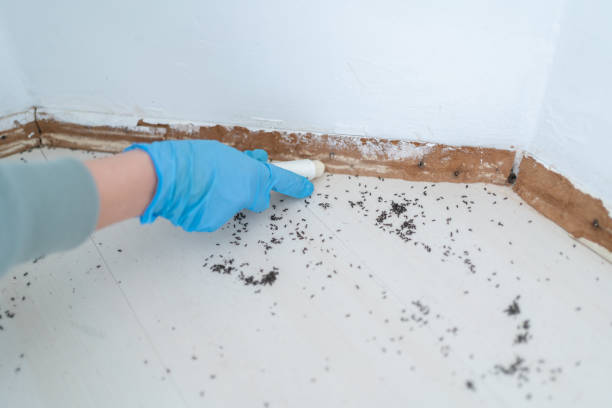 Best Pest Prevention Services  in Sitka, AK